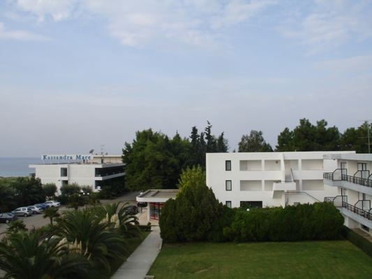 L3202.jpg